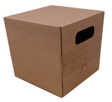 Cartons Bib Bag in Box 3L Flexo Cube Ecru